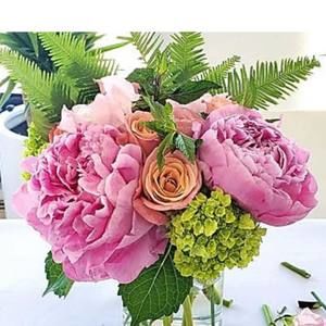 Meet your Posher, Donna